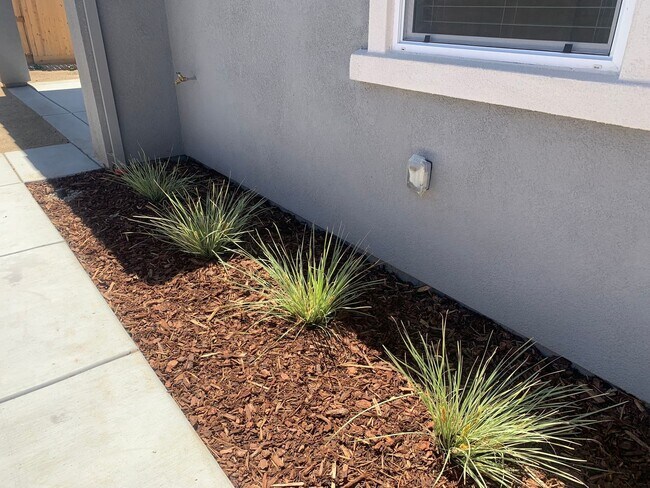 Building Photo - Brand NEW 4 bedroom 1 story home Rancho Co...