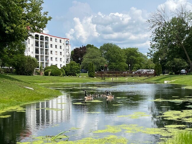 Building Photo - 350 Plum Creek Dr