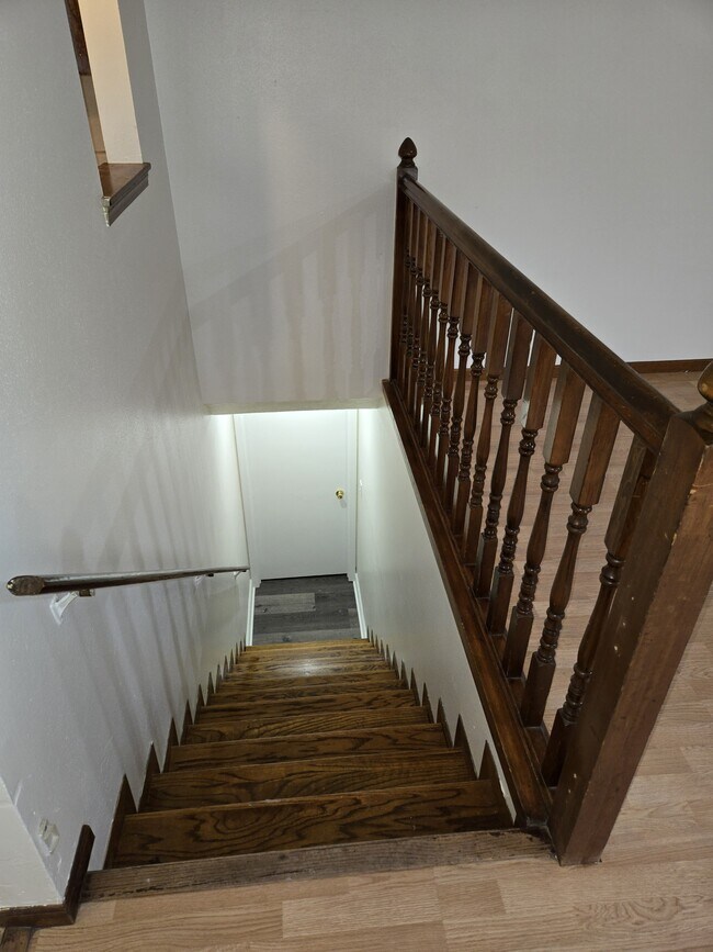 Building Photo - 3802 Gnarl Tree Ln