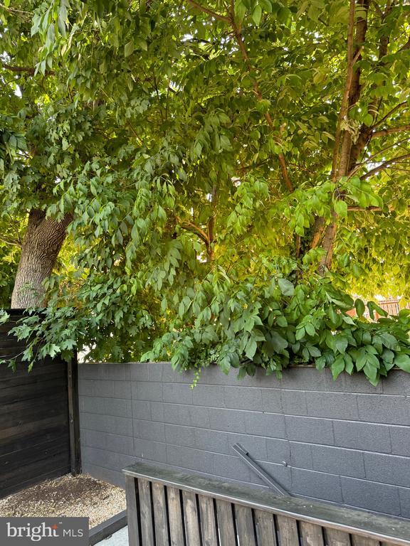 Building Photo - 1625 First St NE