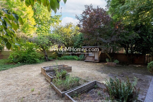 Building Photo - 2 Bedroom Mid Century Modern Home with Total Privacy!