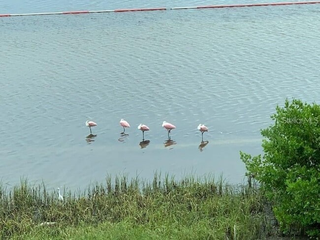 Building Photo - 6470 Mourning Dove Dr