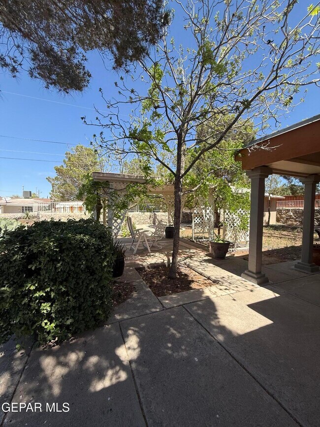 Building Photo - 10449 Chinaberry Dr