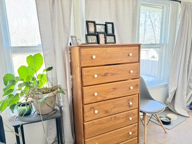 Building Photo - Sunny 1+ Bedroom Single family Home