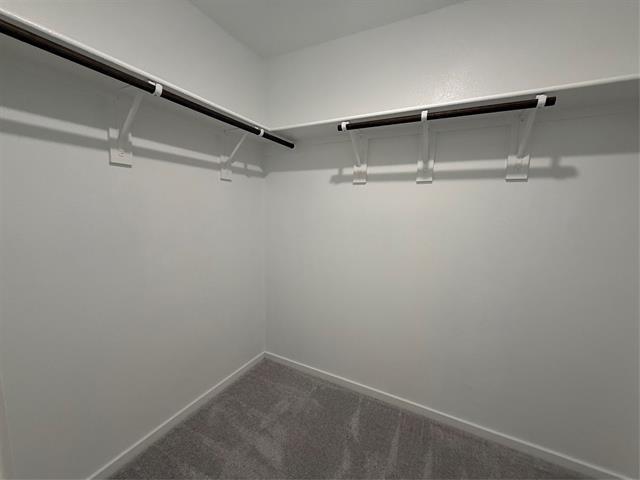 Building Photo - 2524 Guineas Ln