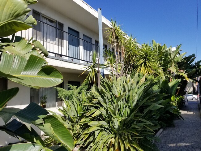 Outside Landscape - 336 E Santa Anita Ave