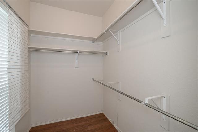 Building Photo - 1902 Nest Pl