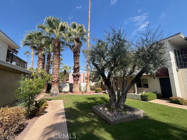 Building Photo - 45270 Panorama Dr