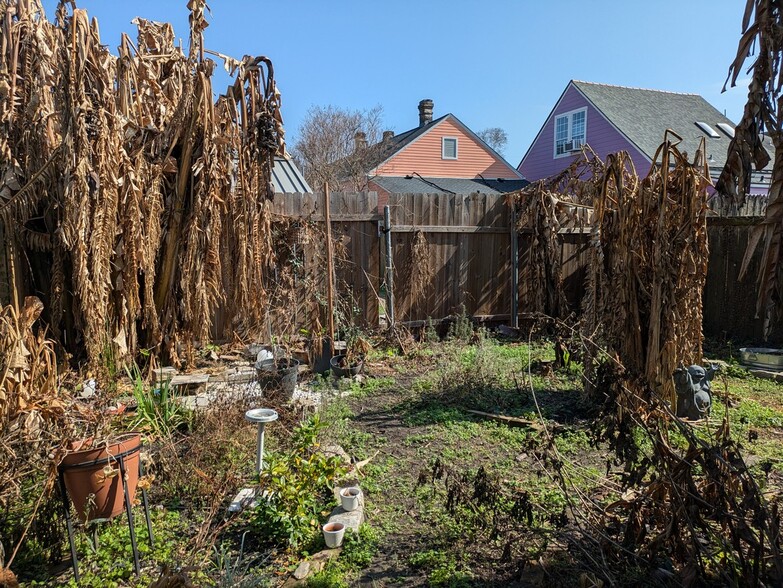 Our oasis has had a set back from the snowstorm and freeze. It's being cleaned and pruned ahead of t - 426 Elmira Ave