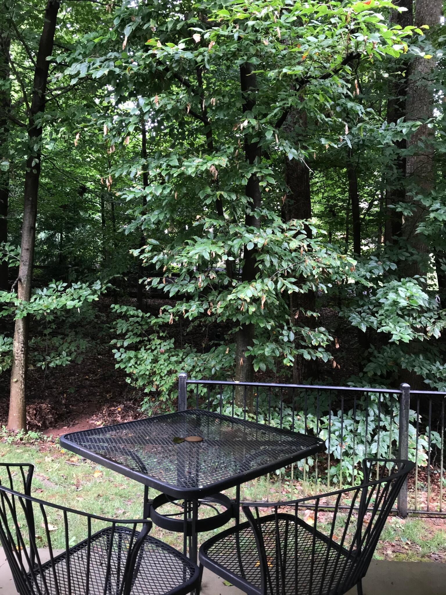 Building Photo - 20385 Dunkirk Sq