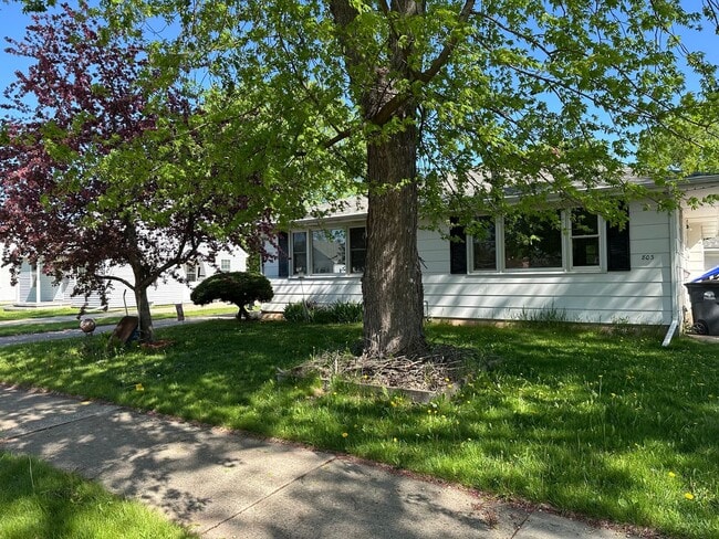 Primary Photo - 803-805 Caroline St