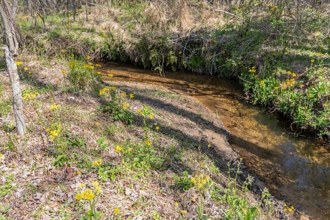 Building Photo - In Town Near The Bike Path