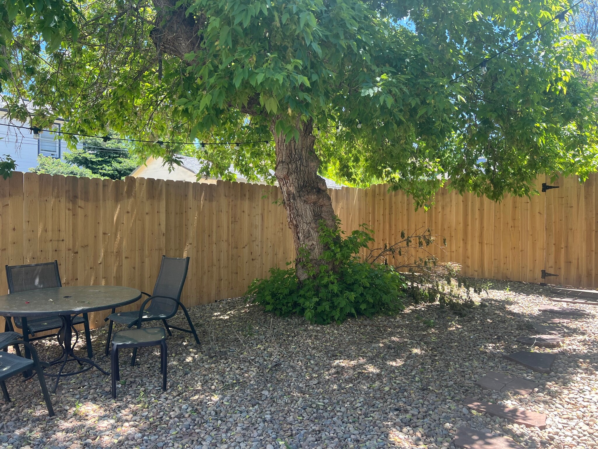 Large shaded yard along eastern side of the home. - 920 University Ave