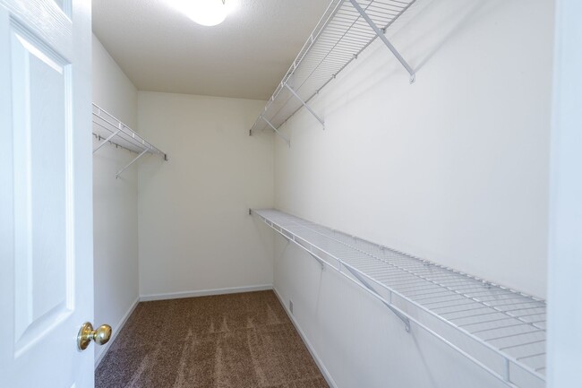 Building Photo - 5005-5007 Carrie Ridge Dr.