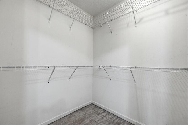 Building Photo - New rental move in ready! 4 bedrooms | 2 bathooms