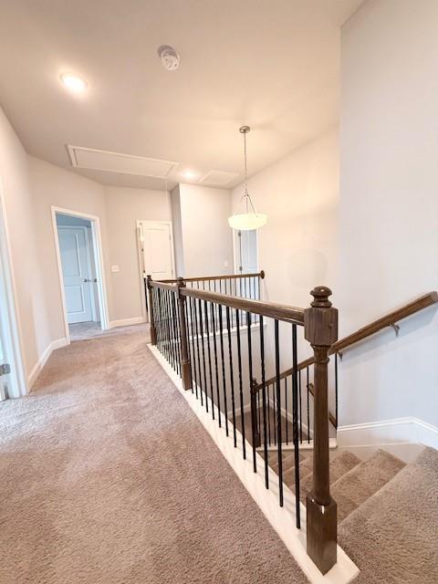 Building Photo - 4502 Big Rock Rdg Trl