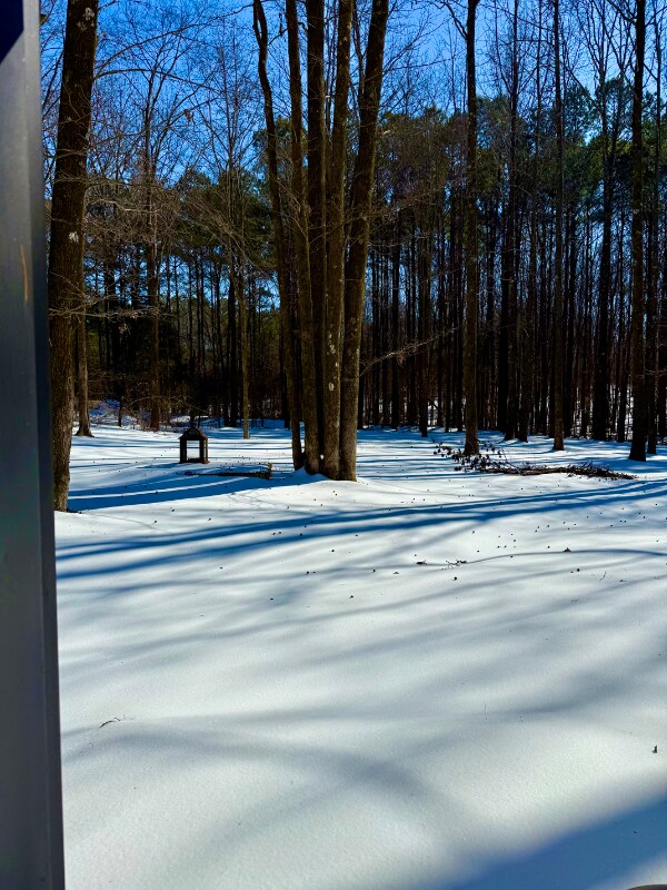 Building Photo - 664 Confederate Ridge Dr