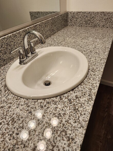 Master Bath Sink and Granite Counter - 4617 N Charles Ave