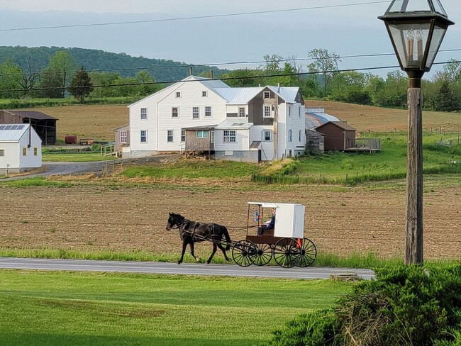 Building Photo - Country Chic in Big Valley