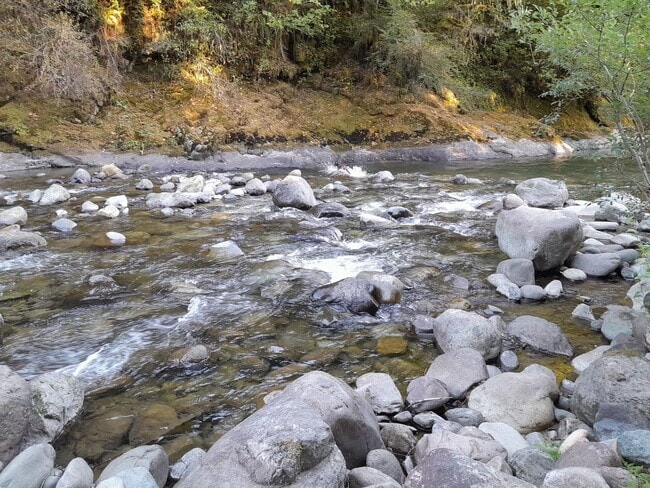 Building Photo - 1/2 off 1st Month's Rent ! Country Setting Single Wide Manufactured Home Silverbrook RV Park