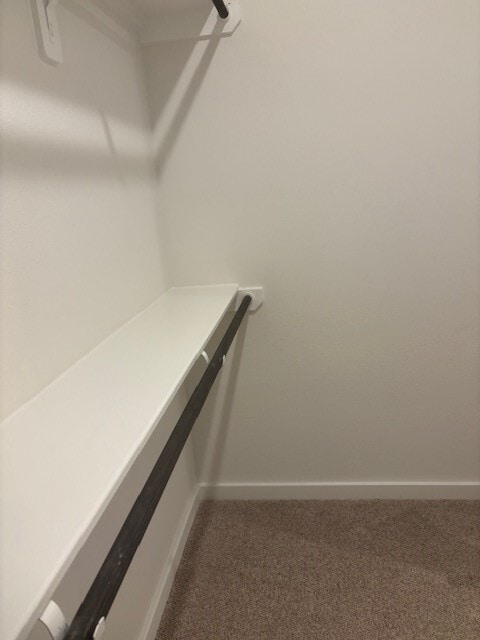 Building Photo - 3221 Loam Ln