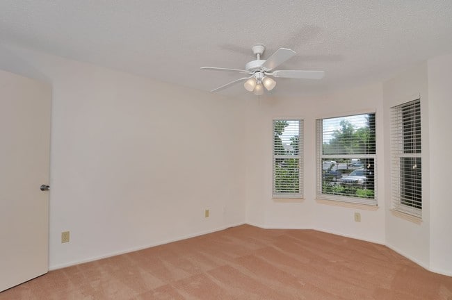 Building Photo - Ashley Woods Apartment Homes