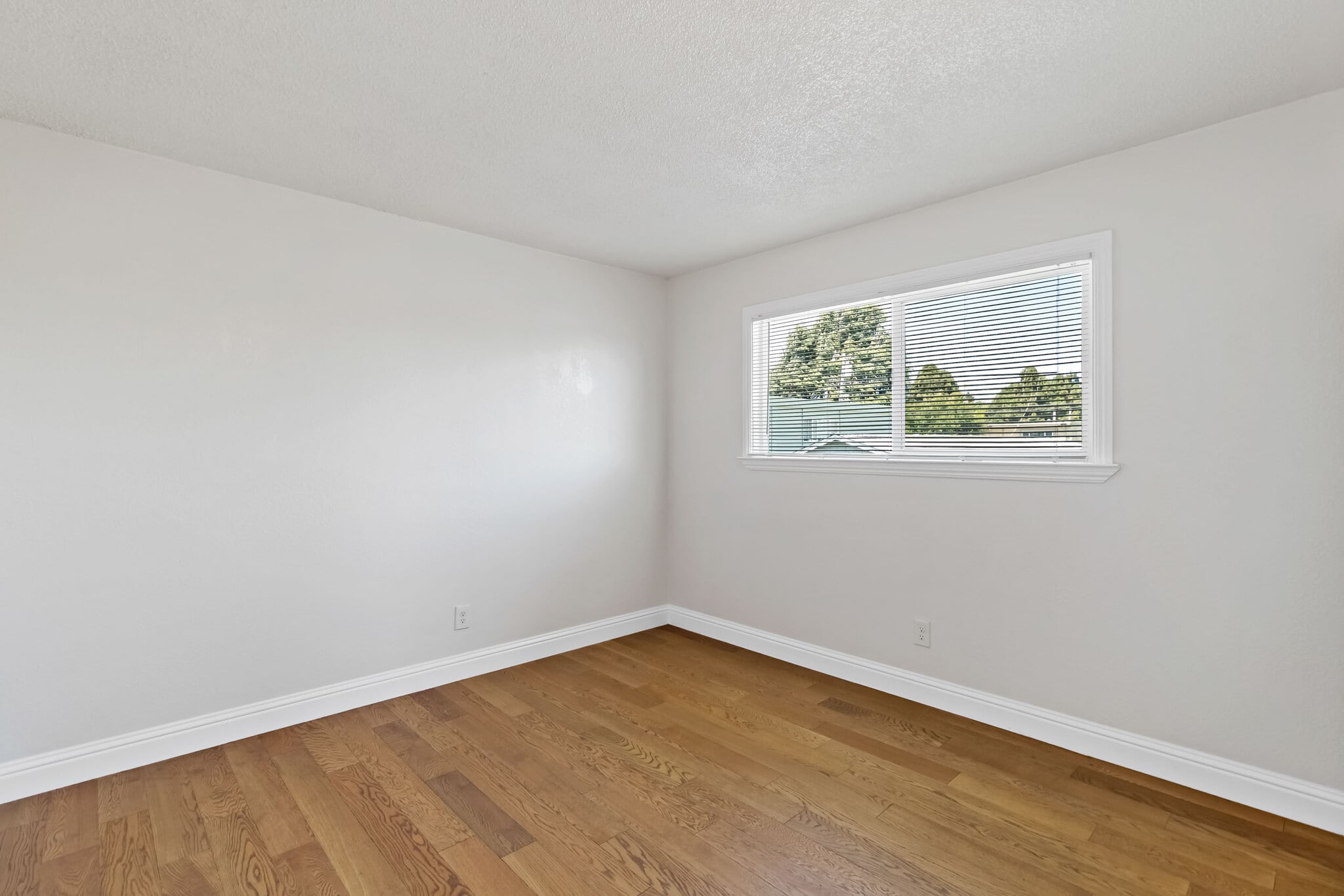 Building Photo - 1141 15th St