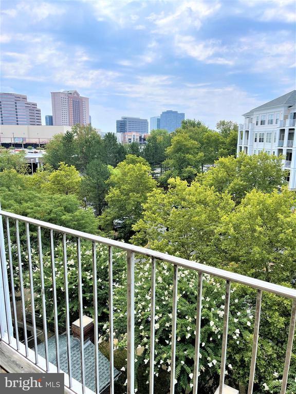 Building Photo - 1641 International Dr