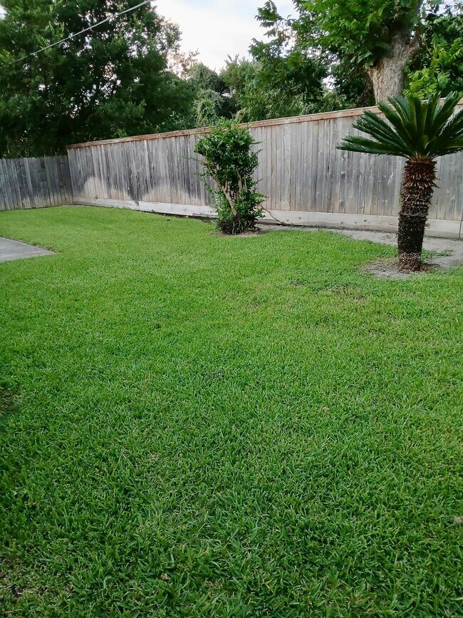 Building Photo - 8110 Streamside Dr