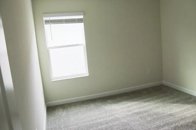 Building Photo - 11160 Longleaf Woods Dr