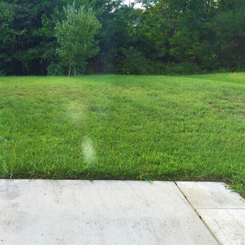 Building Photo - 9117 Hollow Ridge Ln