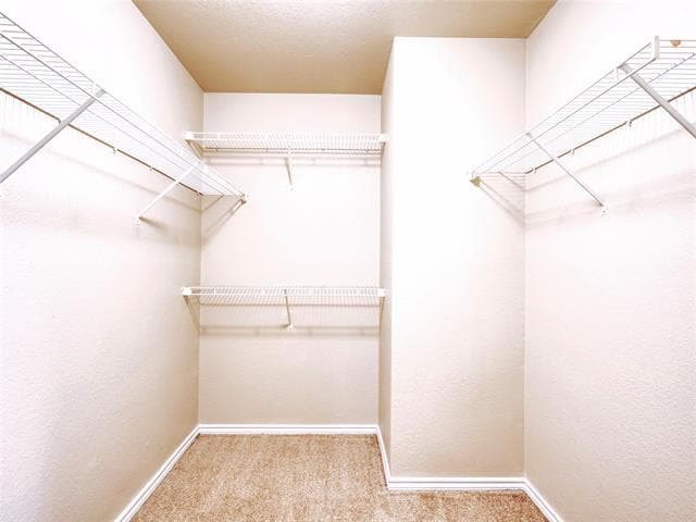 Building Photo - 2602 Buckskin Dr