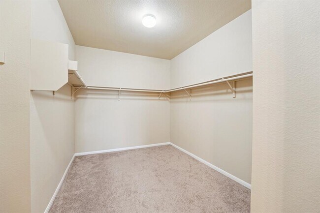 Building Photo - 223 Camellia Dr