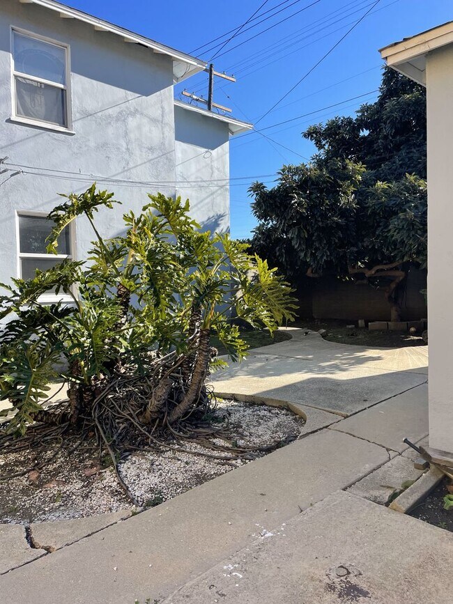 Building Photo - 462