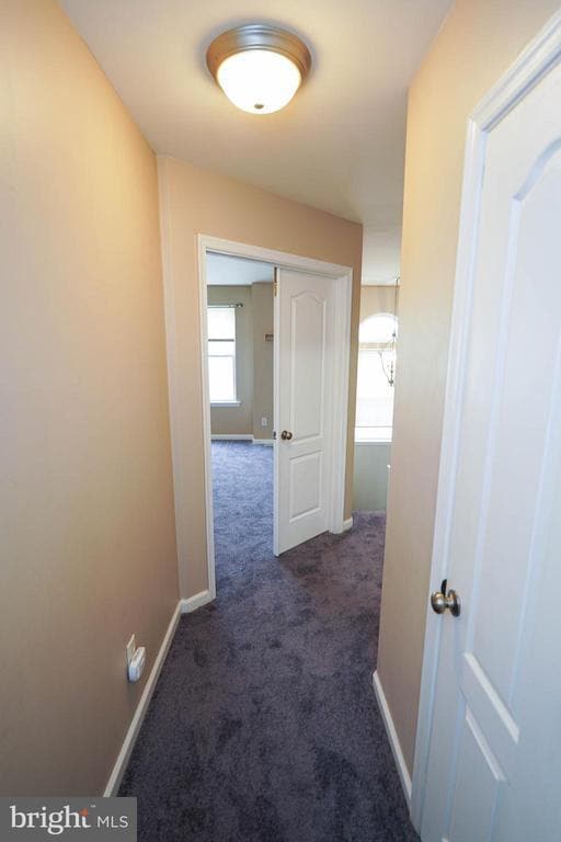 Building Photo - 641 Rosemary Dr