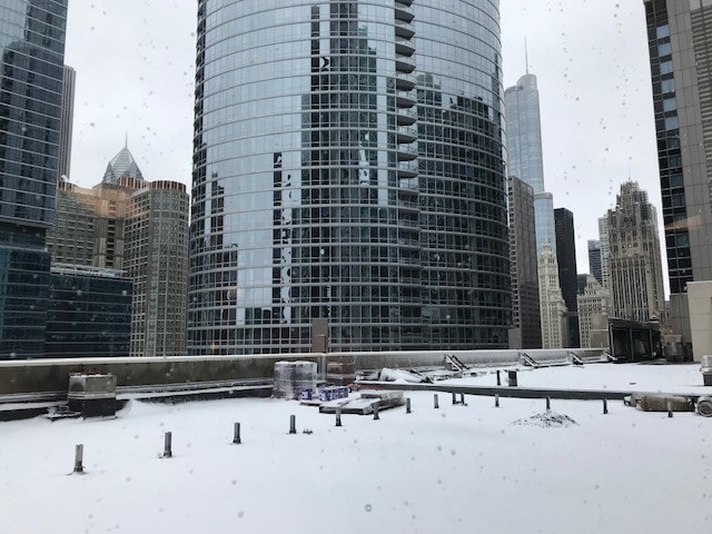 Building Photo - 512 N McClurg Ct