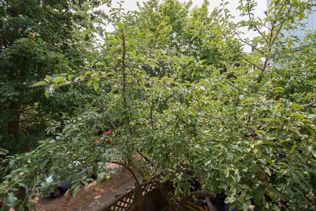 Building Photo - 900 21st Ave