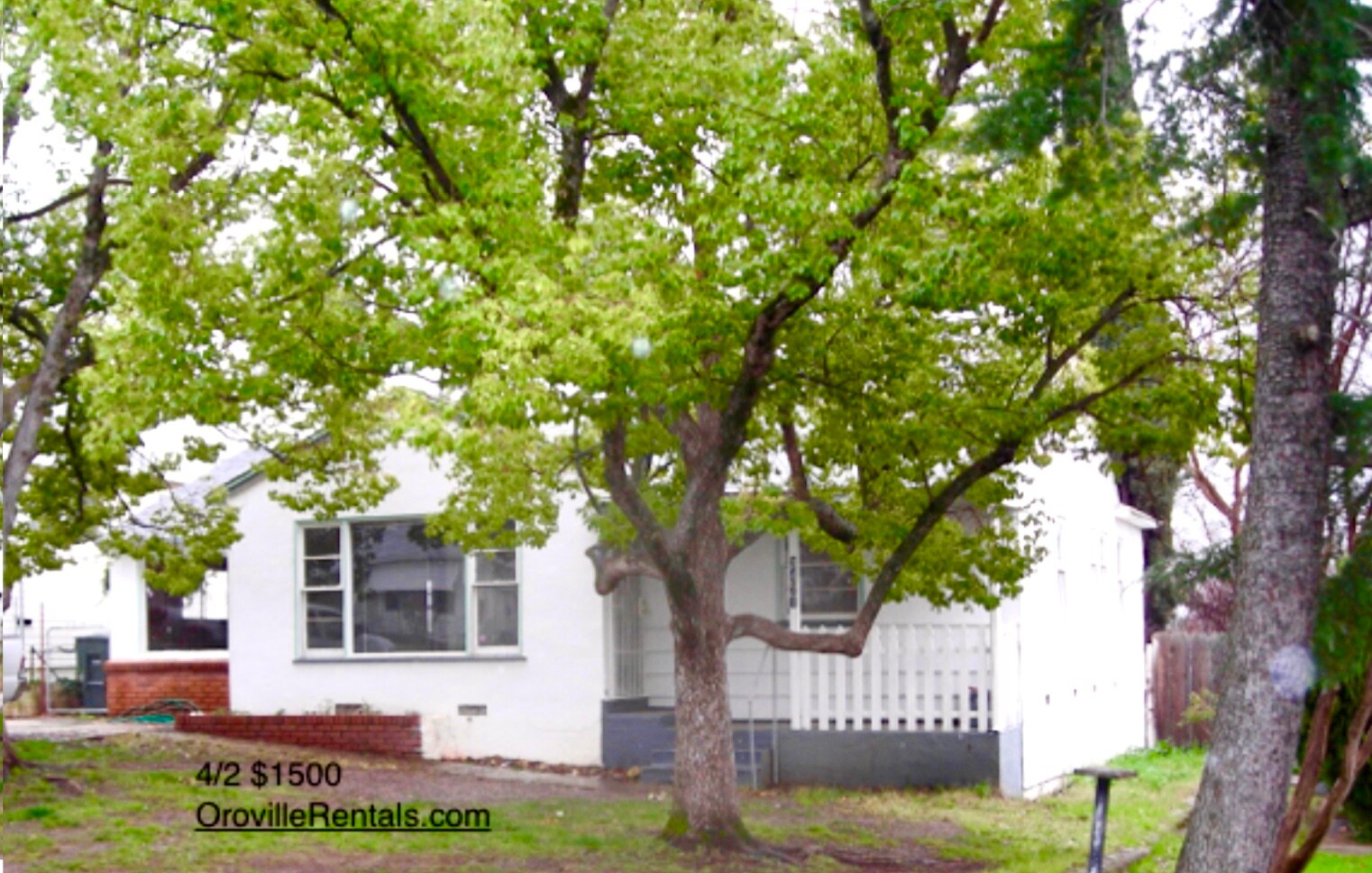 Building Photo - 3471 Stauss Ave