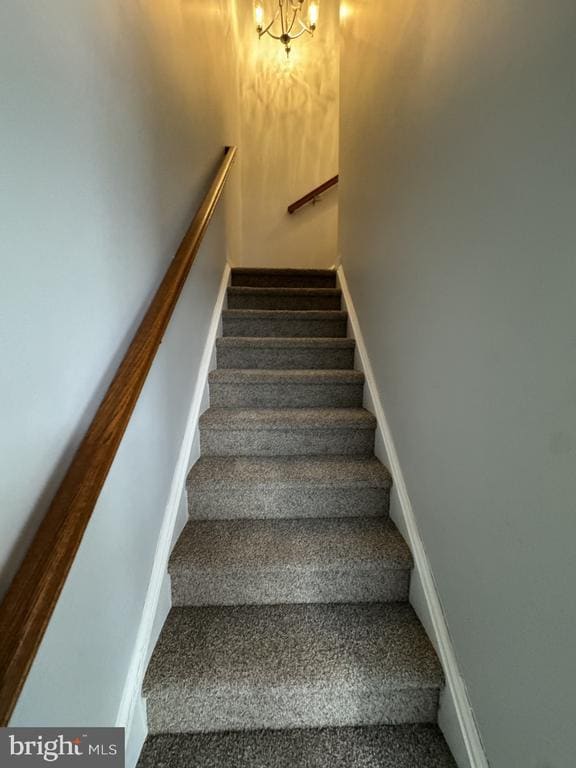 Building Photo - 116 Black Duck Ct