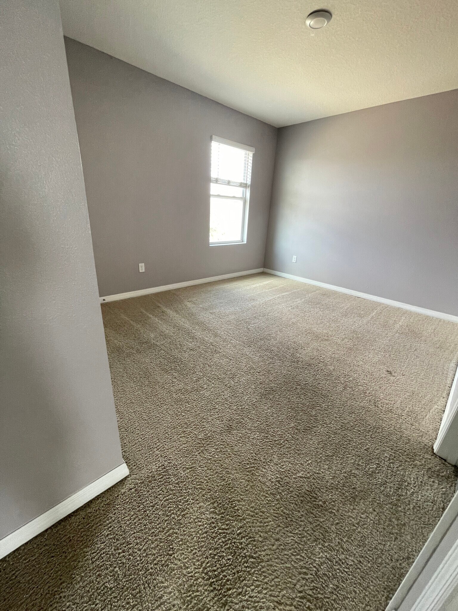 Building Photo - 9009 Tuscan Cypress St