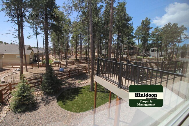 Building Photo - Super nice home in Monument!  Coming Soon!