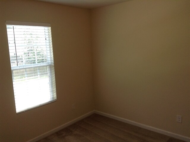 Building Photo - 6215 Thompson Brook Lane