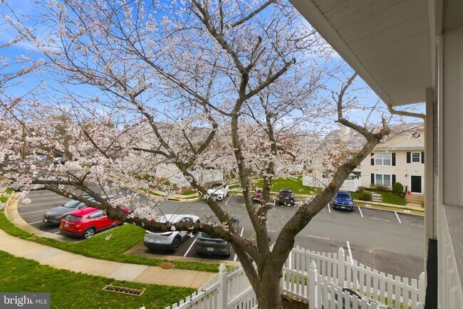 Building Photo - 10208 Ashbrooke Ct