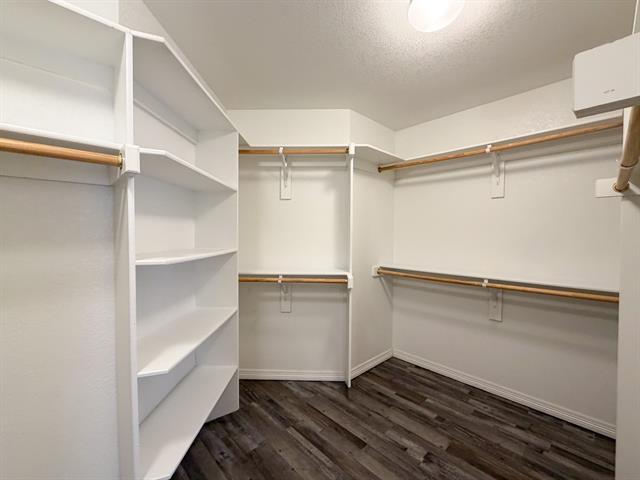 Building Photo - 708 Nandina Way