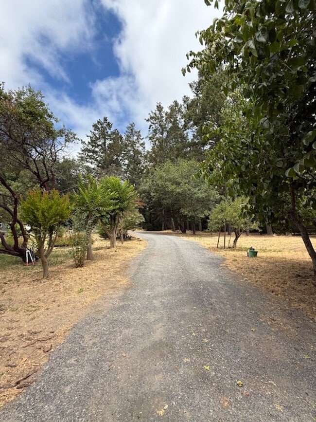 Building Photo - Welcome Home to Karas Lane. In the Country...