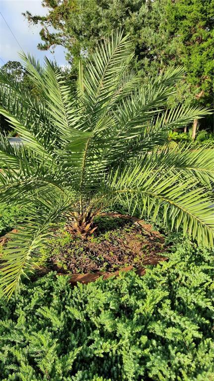 Building Photo - 58 Burning Bush Dr