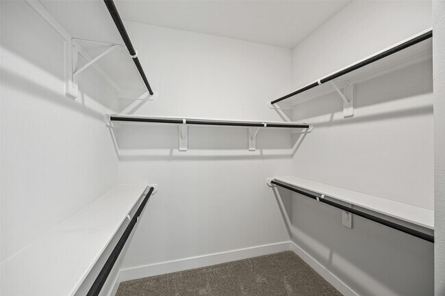 Building Photo - 29024 Red Lp Dr