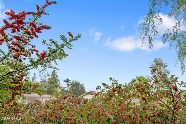 Building Photo - 13893 Christian Barrett Dr