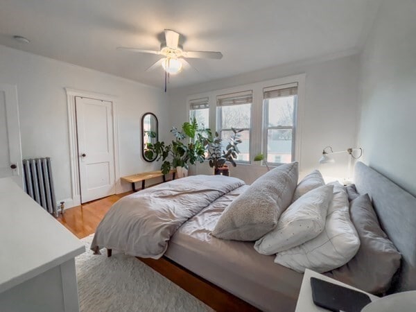 Building Photo - 23 Goldsmith St