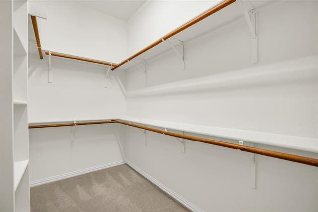 Building Photo - 1610 Mapleleaf Falls Dr